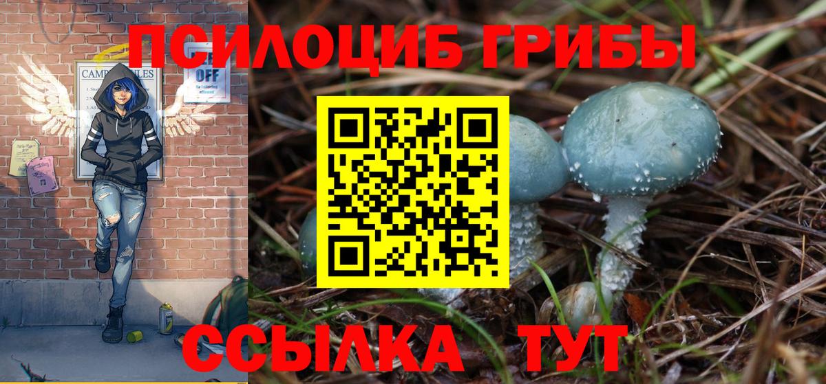 Благовещенск  Галлюциногенные грибы прущие грибы  купить  сайты  Вход с VPN  Псилоцибиновые грибы мицелий 